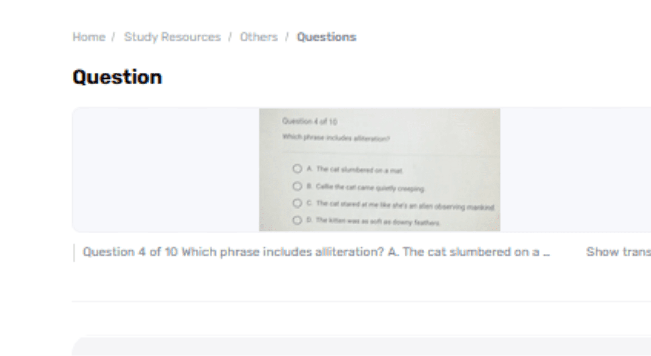 Which Express Incorporates Similar Sounding Word Usage?