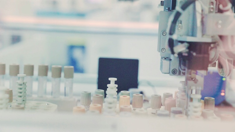 Citicoline Powder: A Practical Buyer Guide for B2B Ingredient Sourcing