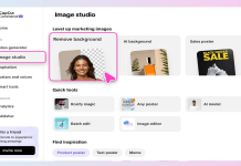 Change Background Colors Online in Seconds with Pippit AI