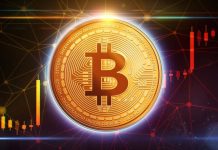 Live Bitcoin Price Today: BTC/USD Market Trends & Updates